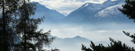 发卡群靠谱的电话轰炸机在线网页版