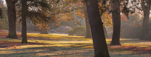 网页在线发短信平台